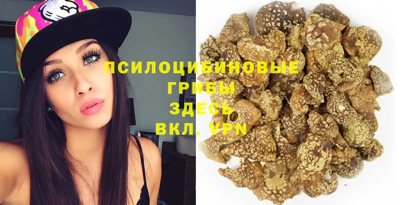 Галлюциногенные грибы MAGIC MUSHROOMS  Ступино 